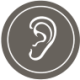 Audiology Icon